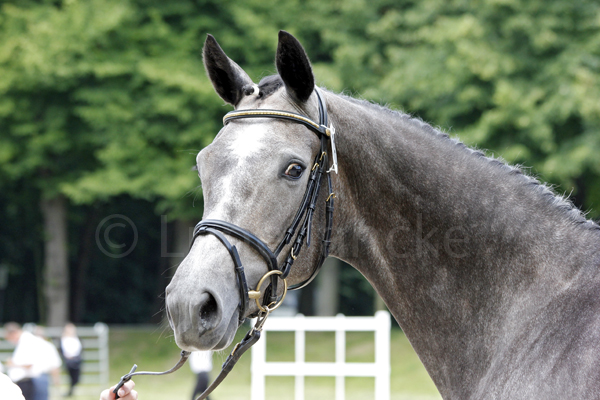 Sinope © Lune Jancke